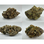 Canna-corp-canada.com