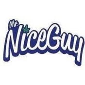 Mr. Nice Guy - Holgate