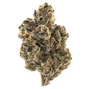 Jokerz | Hybrid Flower [3.5g]