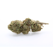 Black Cherry Soda - AAA