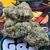  ⛽ AAAA+ | 12 WEEK PINK BY GAS GARDENS 14G