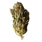 *********Purple Rockstar thumbnail 1