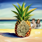 Pineapple Express 7g - CEAS