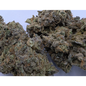 Animal Mints thumbnail 3