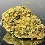 Jamaican Pearl - Hybrid 60% Indica / 40% Sativa - THC 29%