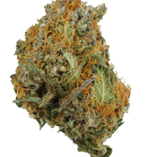 BC (AAA+)SOPHIE'S BREATH (1/2 OZ & OZ SALE $40/$60)