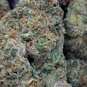 (NEW) Cinderella 99  **$140oz**  SATIVA