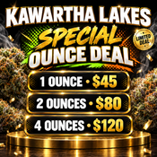 ! 4 OUNCES SLURRICANE for $120