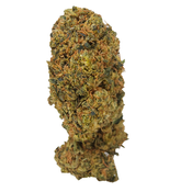BC (AAA) BLUEBERRY KUSH (20% THC)