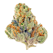 Bubble Gum Marijuana Strain