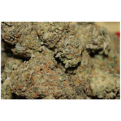 Wedding Gelato  thumbnail 2