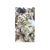 BLUE LOBSTER SMALLS LSO  thumbnail 4