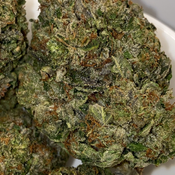 Pink Diamond 💎(BC grown)