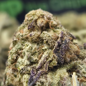 (NEW) Citrus Delight 🍋 ($50/Oz) thumbnail 2