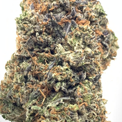*NEW* Conspiracy Theory - Supreme Grade