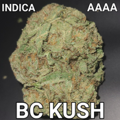 # NEW  4.5⭐ BC KUSH (GREAT TASTING STRONG INDICA) $65 OUNCE SALE (REG $150)