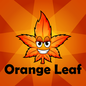 Orange Leaf