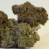 Banana Jealousy | Value Buds | $120 an ounce | $180 for 2 ounces | thumbnail 2