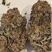 Quads A Purple Urkle Kush 💗😈💗😈💗😈💗😈💗