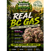 !!! REAL BC GAS FIRST TIME IN WINDSOR !!!