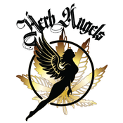 Herb Angels - Opening This Friday 10/20!