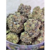 Aluminum Dawg 