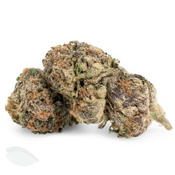 Animal Cookies (Balanced Hybrid Flower)