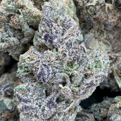 Black Cherry Gas AAAA $100/oz SALE DAYS!!!