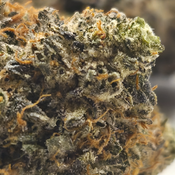 (NEW) Pink Crack 💘💥 ($150/Oz) 🔥 thumbnail 2