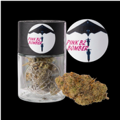 PINK B22 BOMBER- WALTS HERB CO🔥🔥🔥🔥🔥