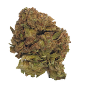 BC (AAA) JUNGLE MINTS thumbnail 2