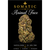 Animal Face | 24-28% THC | SATIVA | $60 an oz | $85 for 2 ozs | $140 for 4oz | 