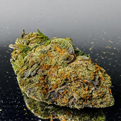 "Gassy" NYC Sour Diesel - Hybrid 60% Indica / 40% Sativa - THC 27-30%
