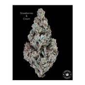 AA+ - STRAWBERRIES AND CREAM - $60-OZ $100-2OZ