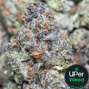 (28G) - Apple & Banana 🍎🍌Hybrid - 2Oz Bulk Deal for $240