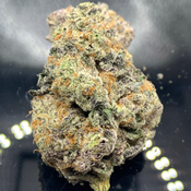 *NEW* Sticky Boof 4A