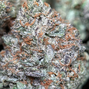 14G - Sweet Gas⛽️😮‍💨Indica | 2Oz Bulk Deal for $240 thumbnail 2