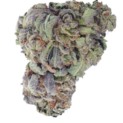 BC (AAA) PERMAFROST thumbnail 2
