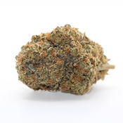 Astro Cake - Premium AAAA