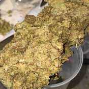 BLOWOUT SALE Durban Poison  4/oz $100 ‼️😱