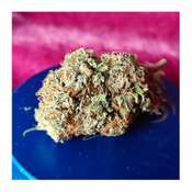 *NEW* Gorilla Frost (7g-$50/14g-$80/28g-$150) (31% THC)