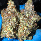 [NEW] Atomic Pink AAAA+ *OZ160 2OZ 300*