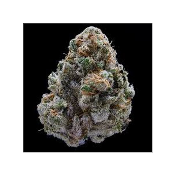 Animal Mint