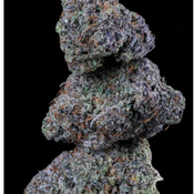 BC 5A Purple Slushie – 14G 95$ | 28G 160$ | 2 ounces 280$ – Exotic GAS