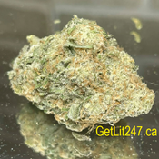 Blueberry Cream - Hybrid - THC 26% - CBD 2%