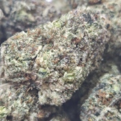 (NEW) SlurriCrasher $120/Oz 🔥  thumbnail 4