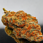 "Premium" Alien Walker - Hybrid 70% Indica / 30% Sativa - THC 29%-32%