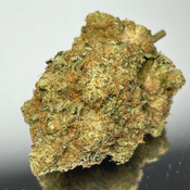 (HOT) Peanut Butter – Hybrid - THC 28%