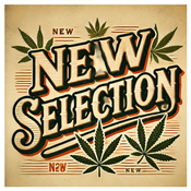 Canna-corp-canada.com 