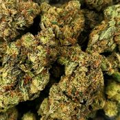 ***ON SALE*** 10 Week Girl Scout Cookies (AAAA Cali), 3oz @ $160, 4oz @ $200